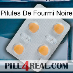 Black Ant Pills 24